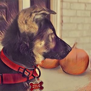 Meet your Posher, Stephen